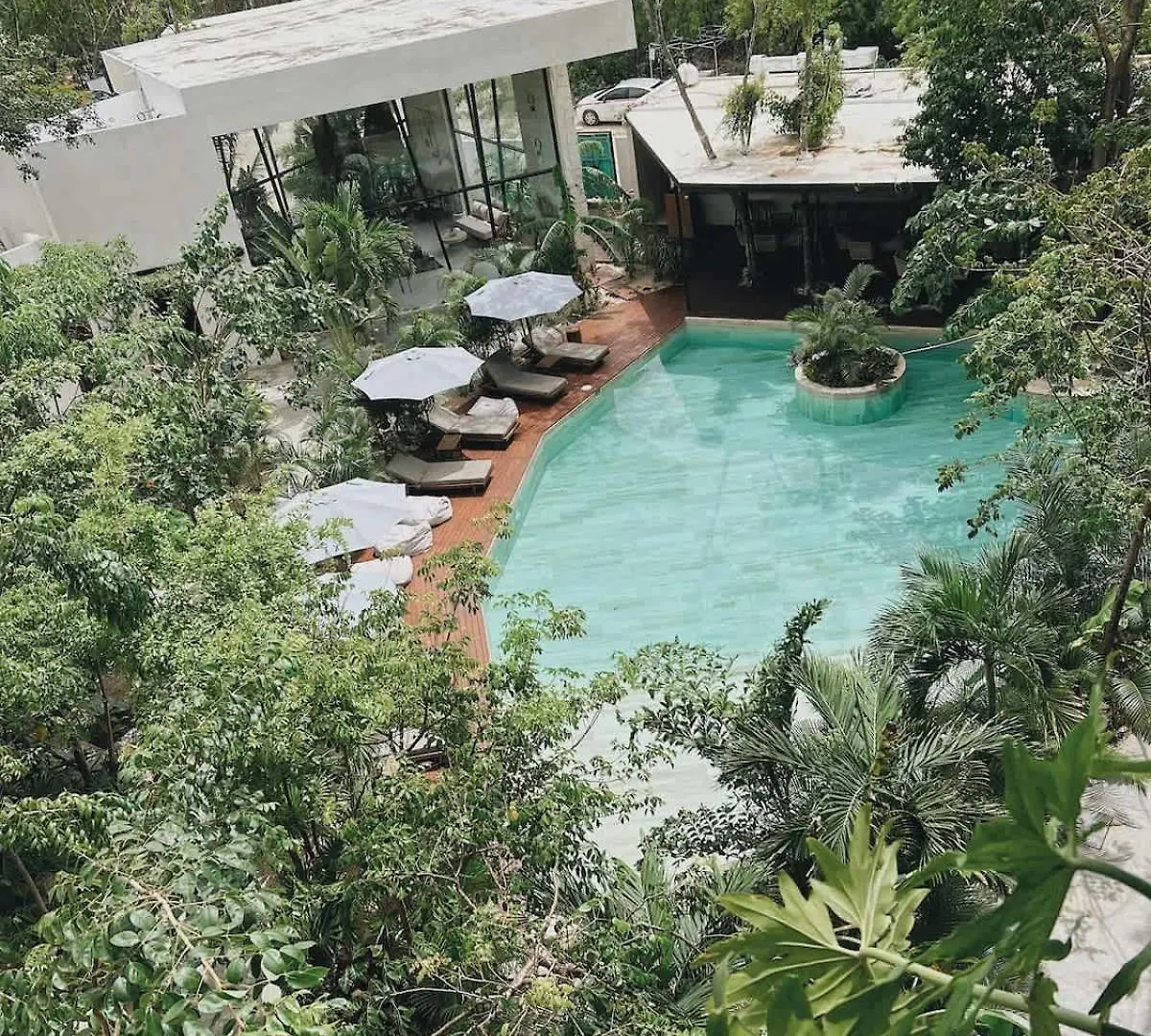 Private Tub And Garden In The Jungle Apartment Tulum 0*,